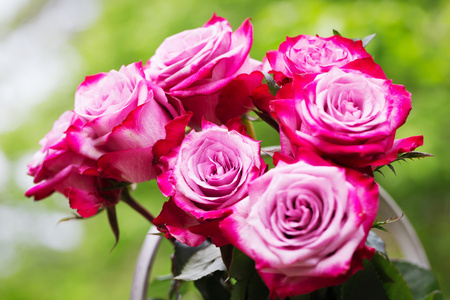 粉红的新鲜玫瑰的木制背景