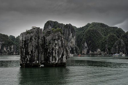 龙湾早上