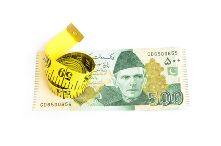 值得注意的是巴基斯坦五百卢比的特写镜头照片