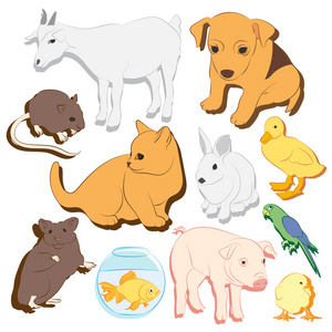 动物宠物矢量彩色图标集图片