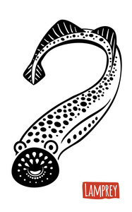 七鳃鳗，矢量卡通插画