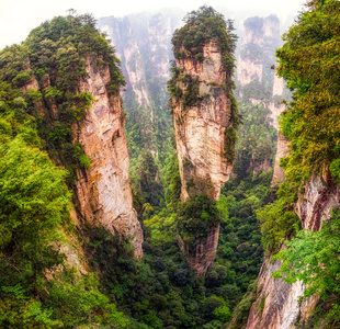 高大的山峰的袁家界