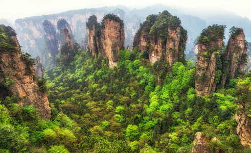 高大的山峰的袁家界