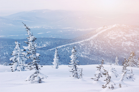 高山滑雪胜地 Sheregesh，俄罗斯自然和体育背景