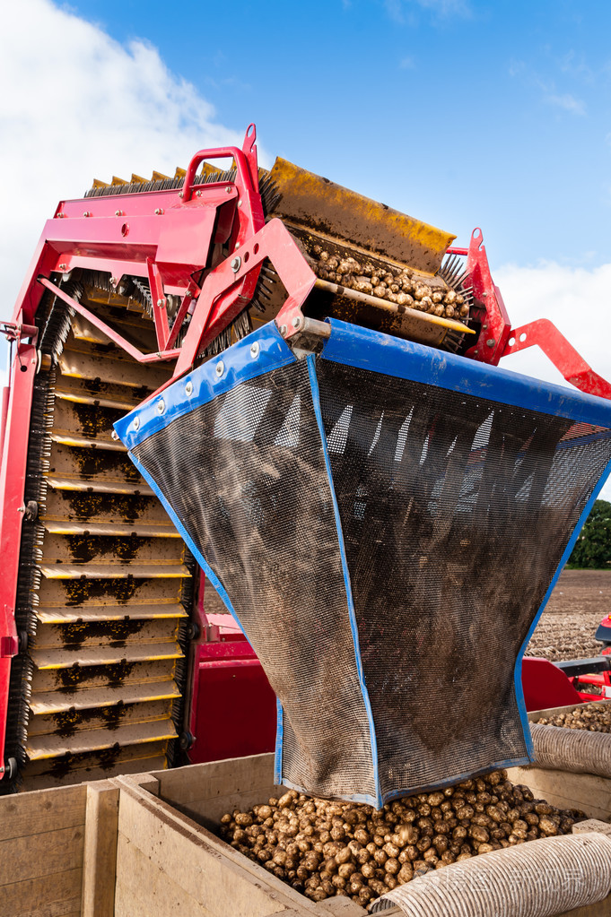 自动化的马铃薯收获机