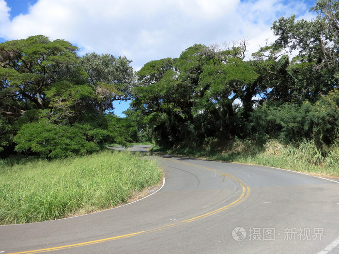 道路曲线坦塔罗斯山