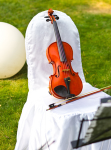 小提琴。小提琴在户外。现场音乐表演。Wedding.Musician 为婚礼的。小提琴在开阔的天空下