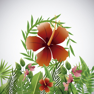 热带花卉设计。花卉的图标。自然概念，矢量图