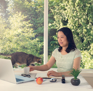 在家里使用夏时制窗口和猫在她身后的女人