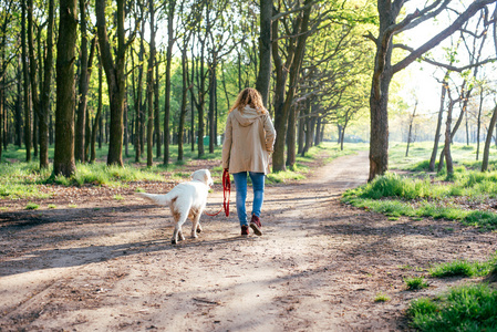 女孩与狗在公园散步