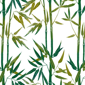 竹子图案竹子无缝图案照片