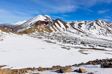 zeala中央和红色口在汤加里罗国家公园,新 zeala照片