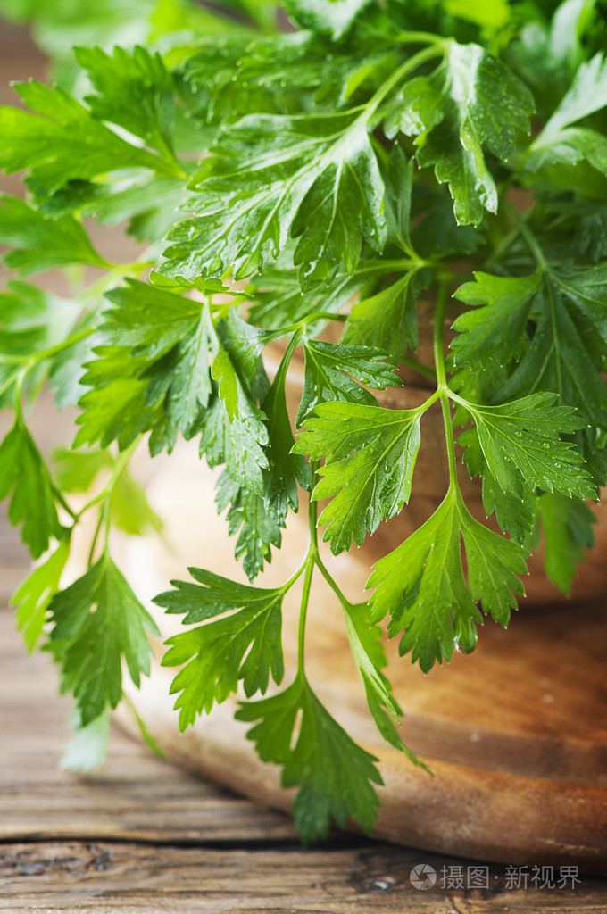 绿色新鲜欧芹