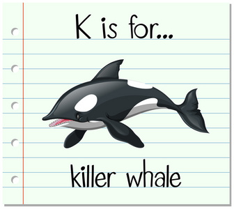 虎鲸是闪卡字母 K