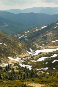 春山风景