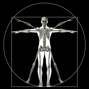 比例解剖身体概念性比例解剖身体维特鲁维人或人作为概念隐喻概念三维