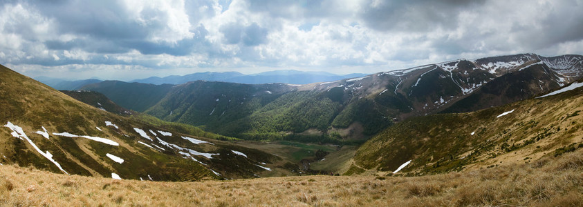 春山风景