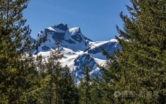 风景秀丽的夏天登山加拿大的风景