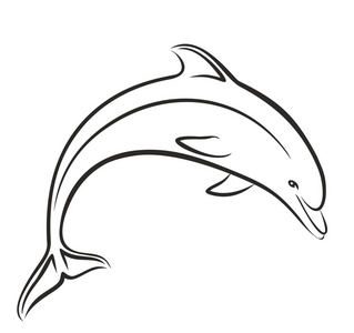 素描海豚图片