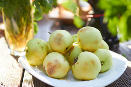 野餐夏季蔬菜