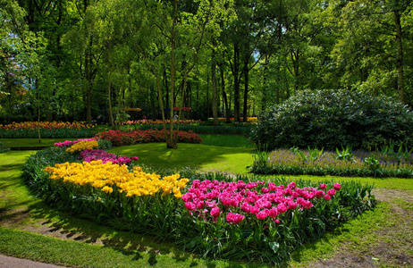 色彩艳丽的郁金香，库肯霍夫公园在荷兰利瑟