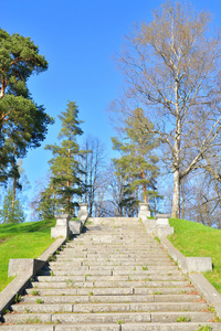 格架梯子在市公园