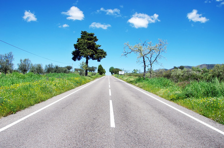 阿连特茹道路景观