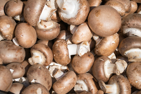 新鲜的整个香菇蘑菇的背景照片