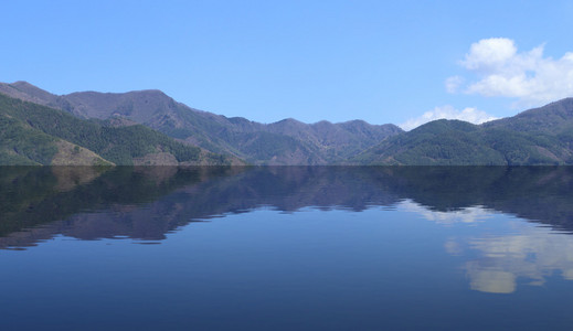 树和用水反射山景