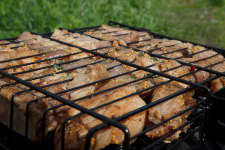 肉类烧烤炉