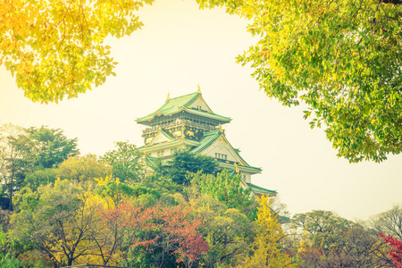 在日本大阪的大阪城堡 筛选图像处理老式 e