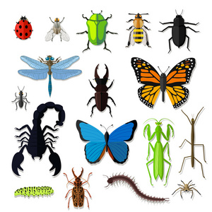 各种昆虫设计平面