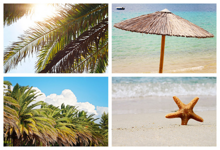 拼贴套的夏季假期背景。海星砂，沙滩，大海，棕榈树