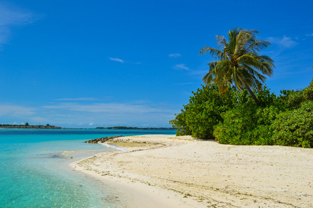 美马尔代夫群岛的照片