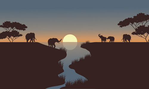 大象站在河里这条河的大象大象在河里洗澡河里的大象组来自自然的野生