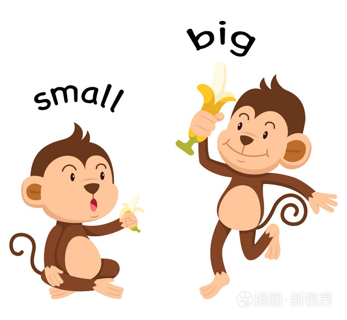 相反词小和大