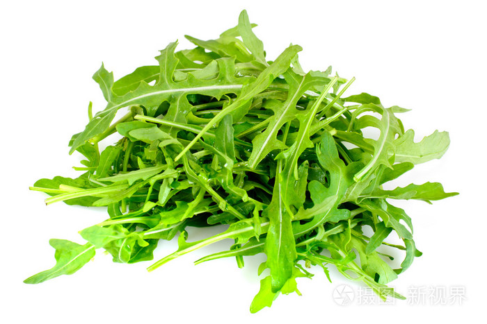 新鲜绿色芝麻菜