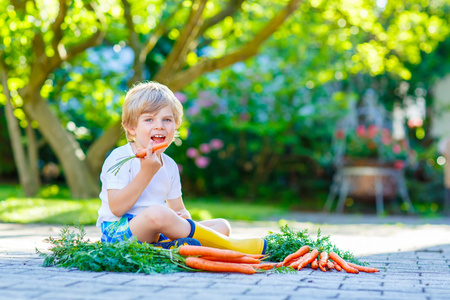 滑稽的小小孩男孩用花园里的胡萝卜
