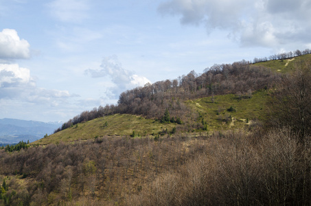 山和小山