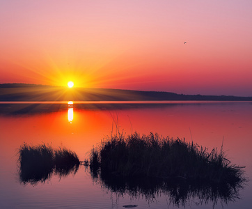 湖中美丽的夏天日落