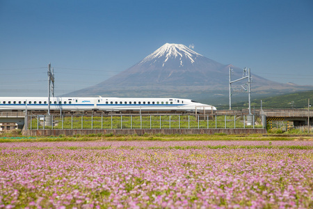 观富士山与东海道新干线