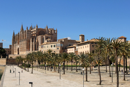 帕尔马大教堂和 Parc de la Mar 在帕尔马，西班牙