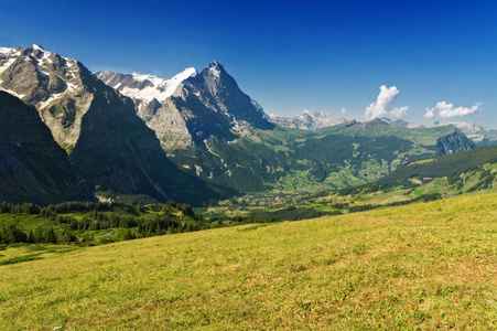 美丽田园阿尔卑斯山景观，山是在夏天，瑞士