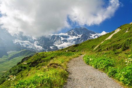 美丽田园阿尔卑斯山景观以及线索，在夏天，瑞士山