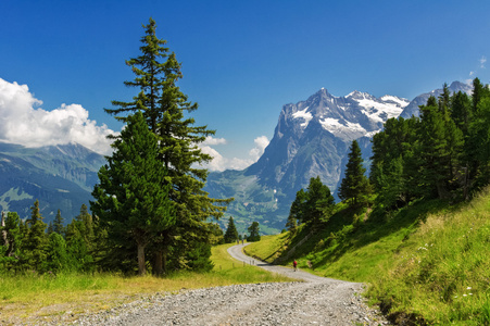 美丽田园阿尔卑斯山景观以及线索，在夏天，瑞士山