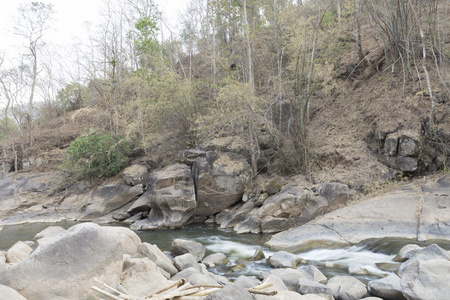 溪水流经小溪中的石头