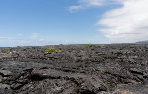 夏威夷大岛的熔岩字段