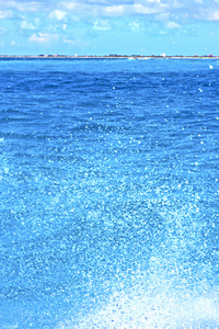地面波墨西哥蓝色泡沫的海上天