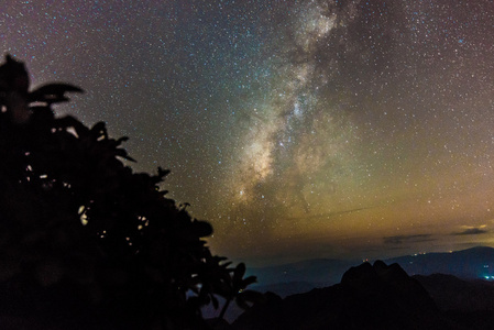 泰国香岛山区的银河系和大树