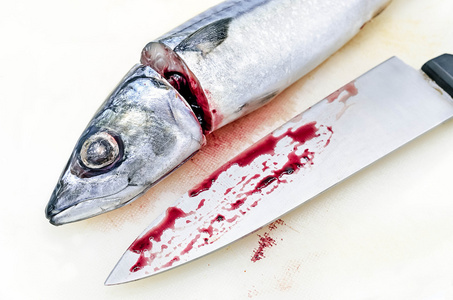 新鲜的萨巴鱼和厨师的刀滴血摄影图